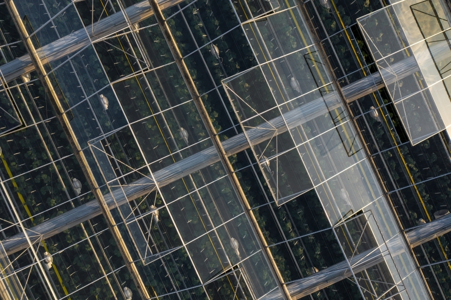 see through solar installation on greenhouses
